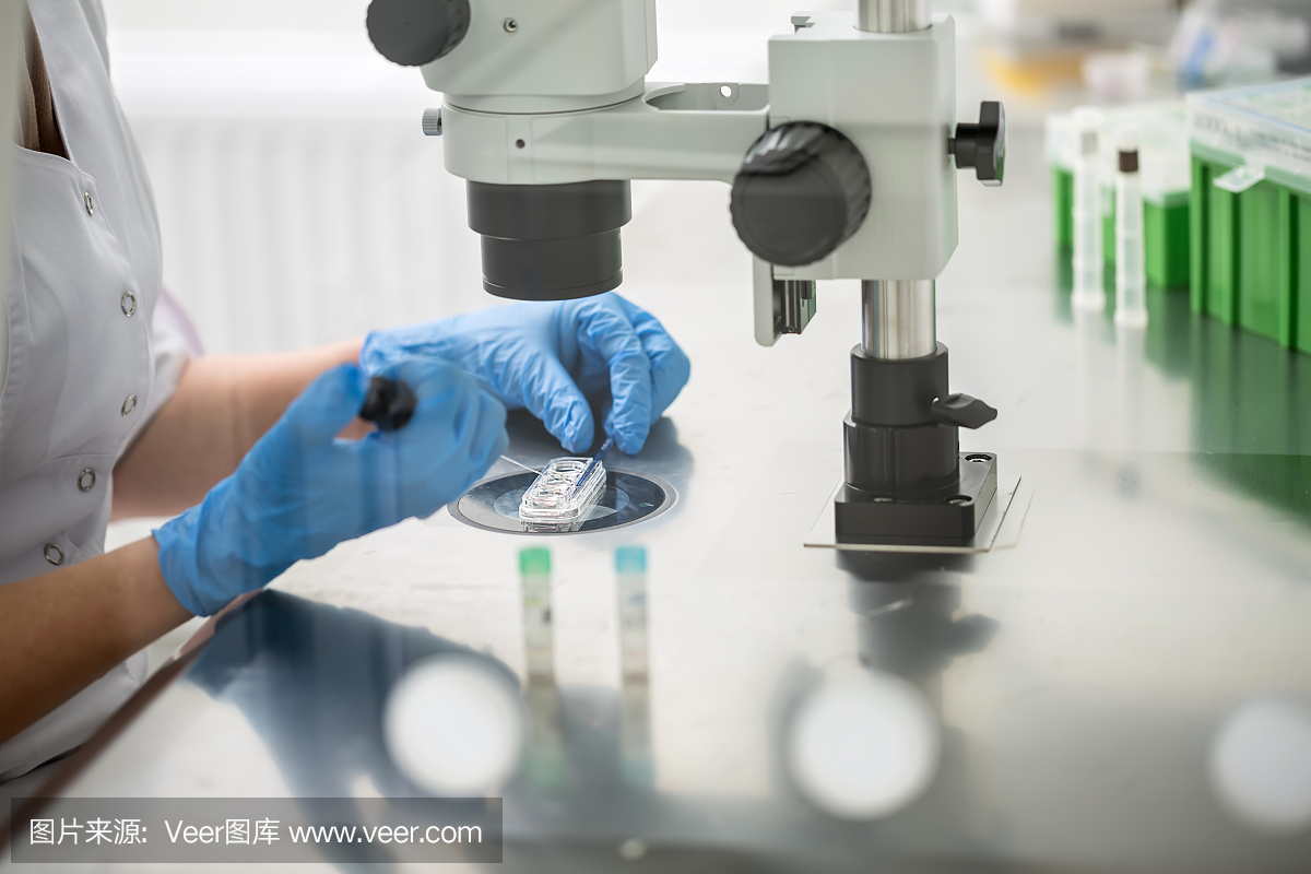梦见别人的借卵试管婴儿失败