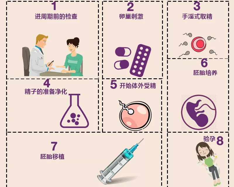 借卵做试管移植囊胚过程视频