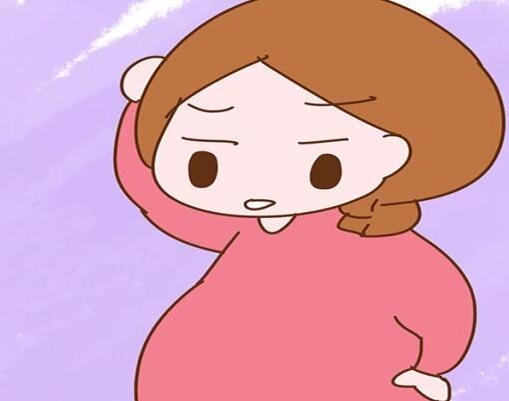 二代试管放几个胚胎