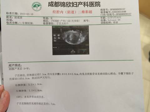 哈尔滨杰特宁做试管代怀公司流程,费用要15万吗？