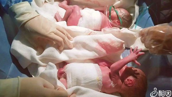 哈尔滨卵子捐献者第三代代生孩子费用多少医院排名!附试管代怀哪里做得好机构名单!