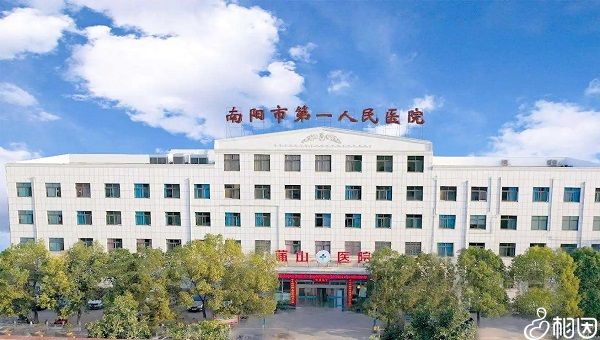 生殖医学专家池玲博士携+中文大学团队来我中心参观学习