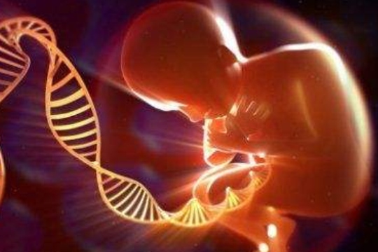 想知道代生价格婴儿是否要养囊,养囊的标准是什么