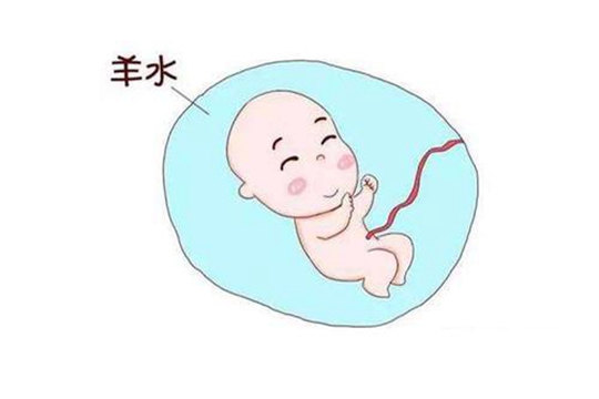 私立试管机构和普通孩子+哈尔滨试管供卵生孩子胎位不正怎么办